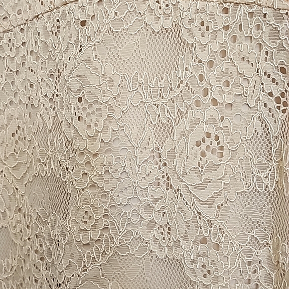 Nwt Nicole Miller Ny Blush Lace Sleeveless Evening Gown - Picture 16 of 17